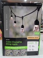 Portfolio - Color Changing String Lights