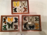 Set of 3 Butterfly displays (a)