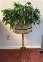 Live Christmas Cactus Plant & Wooden Plant Stand