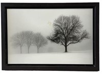 Winter Trees Framed Art