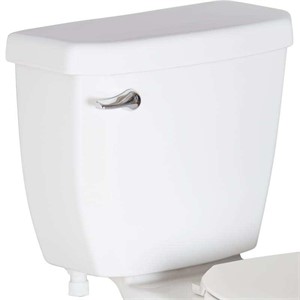 New $65- Proflo Jerrit Toilet Tank Only - White