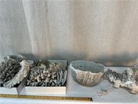 White Wash Coral Pieces