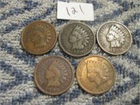 5 Pc 1896-1906 Indian Head Cents