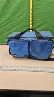 Kiwi cooler bag