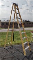 Werner 10' Fiberglass Ladder