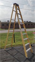 Werner 10' Fiberglass Ladder