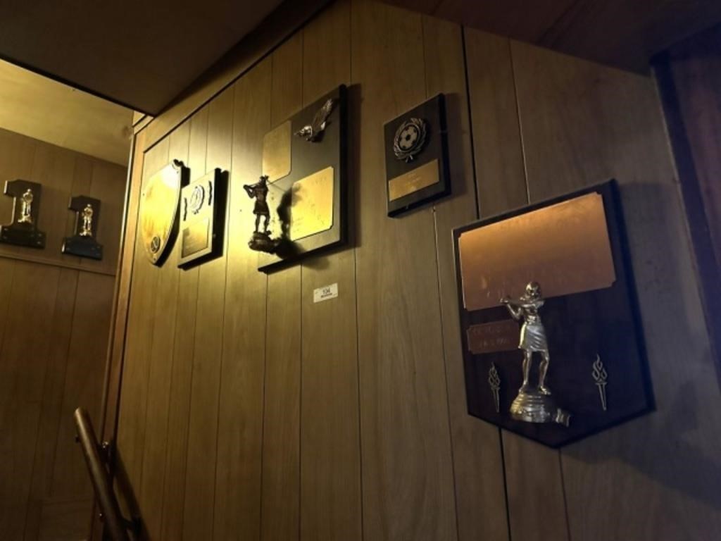 Lot of Wall Plaque Trophies