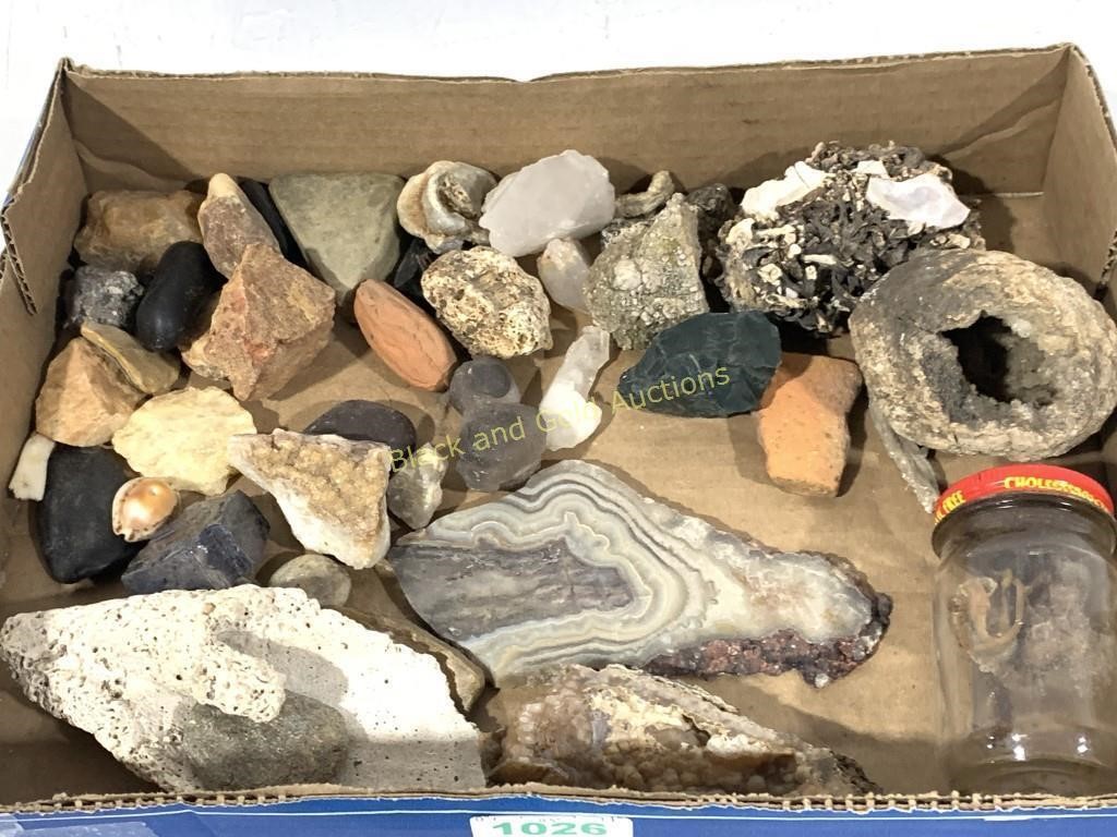 Box of Assorted Interesting Small Rocks