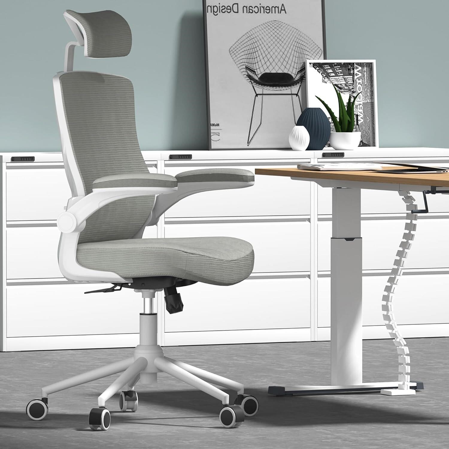 Ergonomic Mesh Desk Chair  High Back (Star Dust)