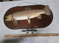 Hung Fish Trout & Fish Decoy