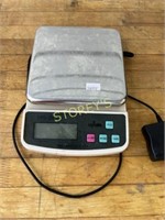 Update Digital Weigh Scale - DPS-20