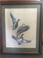 Ducks unlimited guy Coheleach LE numbered print