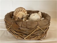 Seashell & Coral basket Over 5 pounds #4