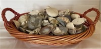 Seashell & Coral basket Over 5 pounds #3