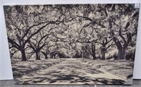 Canvas Orchard Road Photo Print