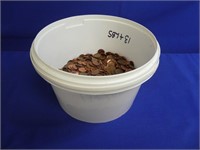 (1) Plastic Bucket Of Pennies 1940's And Up