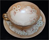 Bavarian China Saucer and Cup