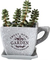 Planter Cup Shaped Ceramic Pot