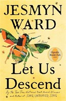(P) Let Us Descend: A Novel