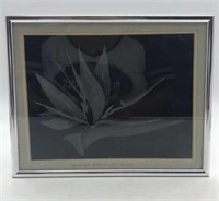 Stage Sand Blasted Etched Glass Design Signed By