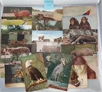 NY Zoological Park Vintage Postcards Ephemera