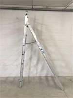 8 Ft Folding Ladder