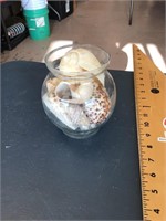 Glass jar of seashells