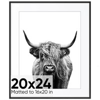 Homeforia 20x24 Black Frame Matted to 16x20 - Meta