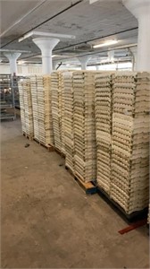 500approx STRYOFOAM HYDROPONIC GROWING TRAYS.