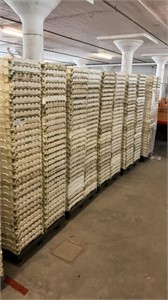 500approx STRYOFOAM HYDROPONIC GROWING TRAYS.