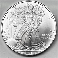 2008 US Silver Eagle