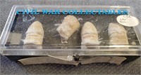 P729- Civil War Bullet Collection