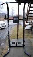 EXERCISE EQUIP - PULL UP / DIP STATION