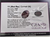 11.20cts Red Garnet (N)