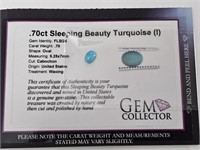 .70cts Sleeping Beauty Turquoise (I)