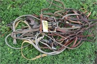 Bridles & reins