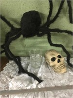 Halloween lot with the skulls & big spider