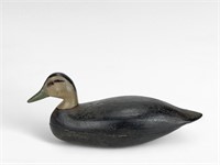 Black Duck - Unknown, NJ