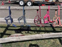 5 NYLON HALTERS, VARIOUS SIZES & COLORS