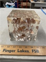 Large penny paperweight