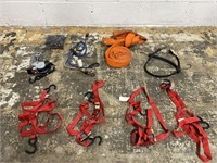 Lot of Bungee Cords & Tie Straps