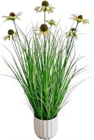 ECOFOREST Artificial Grass Plant 23in Potted Echin