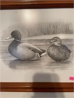 Duck Signed Print