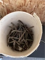 Bucket of lag screws