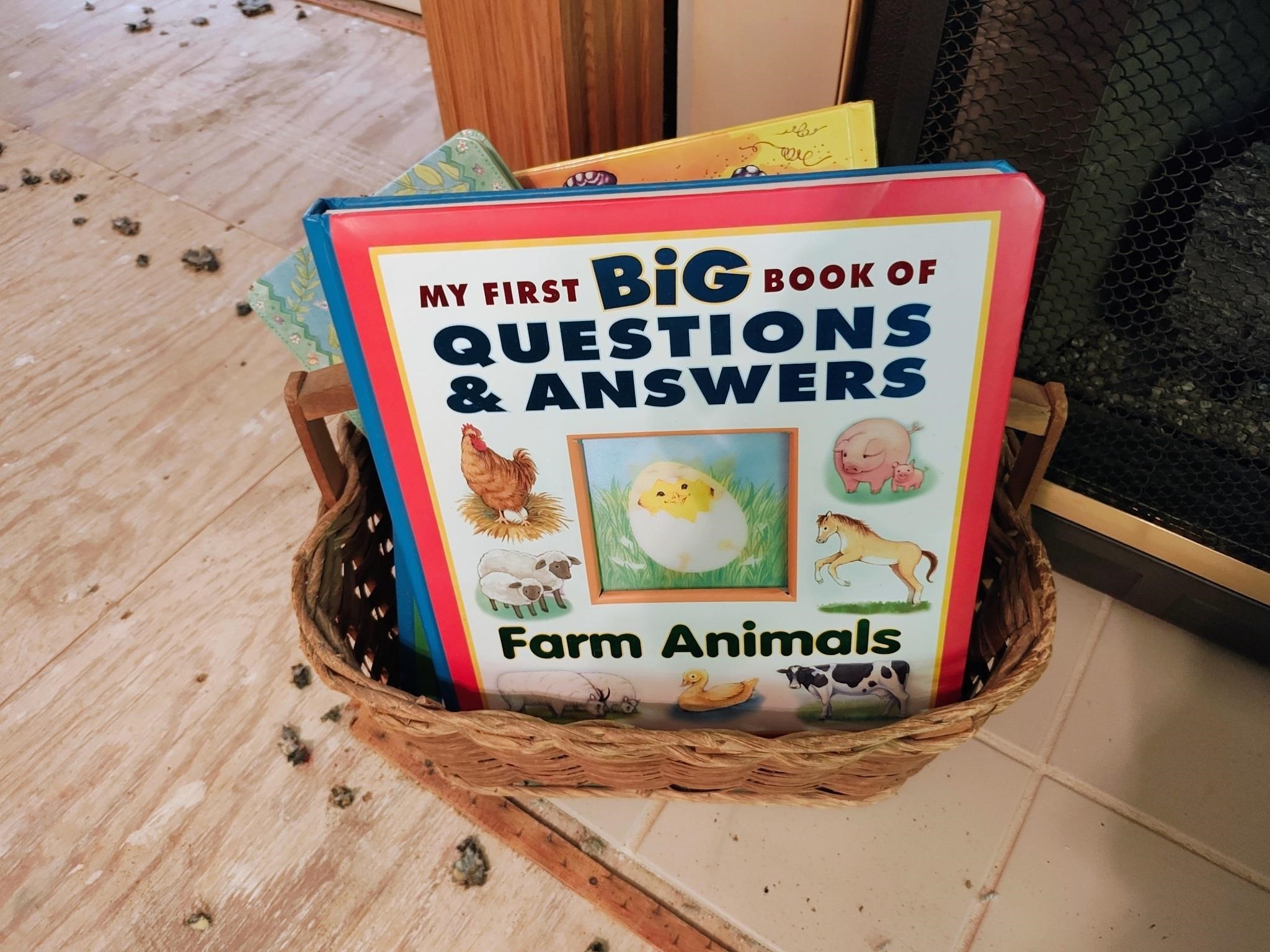 Basket with Children's Books