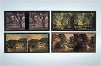 4 Color Autochrome Stereo View Slides