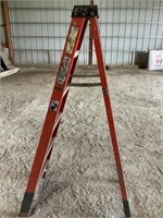 Green Bull Fiberglass Ladder