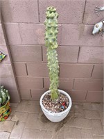 White Ceramic Planter / Totem Cactus