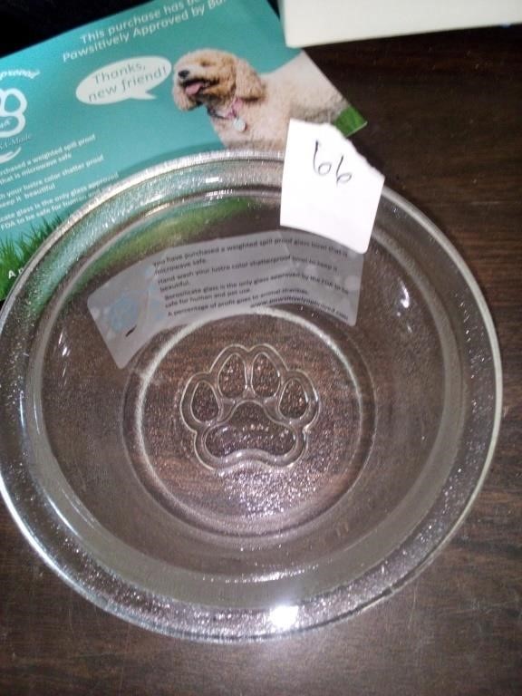 Small Pawsitively spill proof, weighted glass bowl