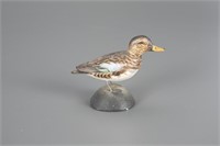Miniature Blue-Winged Teal Hen